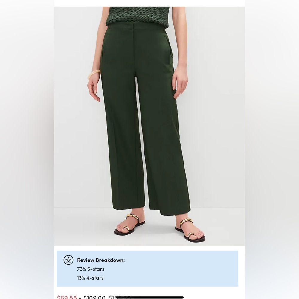 Ann Taylor Dark Green Wide-Leg Pants